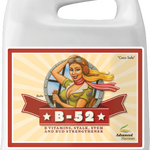 B-52