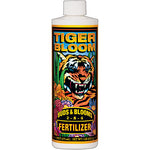 Tiger Bloom