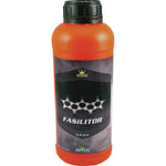 Aptus Fasilitor