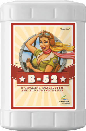 B-52