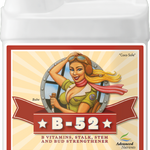 B-52