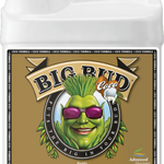 Big Bud Coco