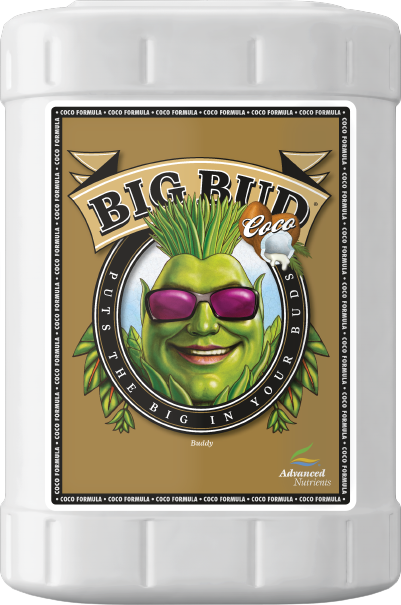 Big Bud Coco