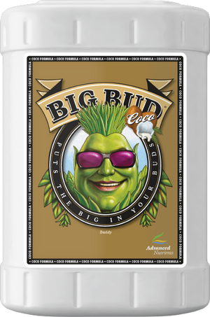 Big Bud Coco