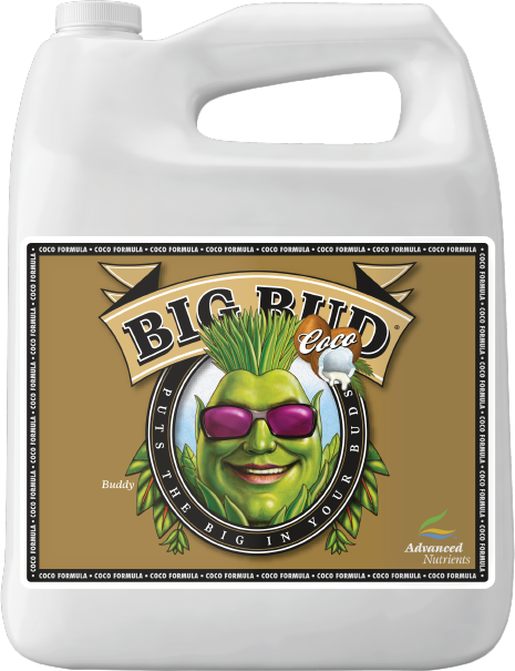 Big Bud Coco