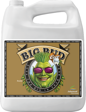 Big Bud Coco