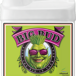 Big Bud