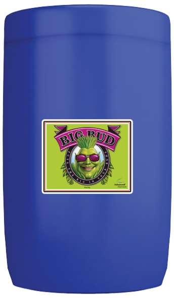 Big Bud