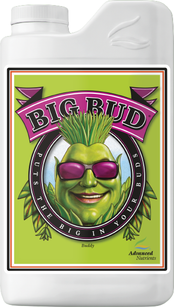 Big Bud