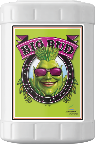 Big Bud