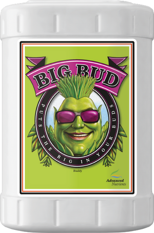 Big Bud
