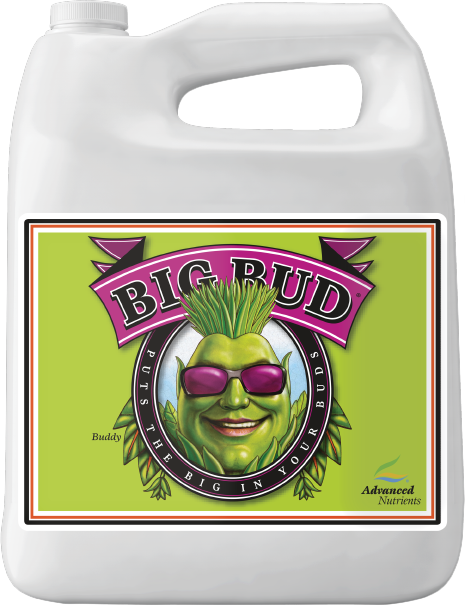Big Bud