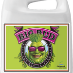 Big Bud