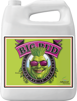 Big Bud