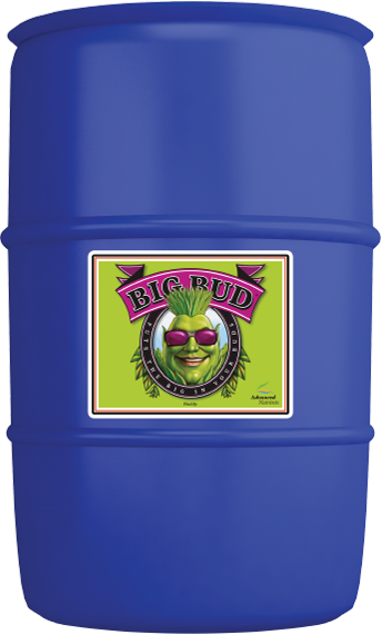 Big Bud
