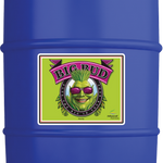 Big Bud