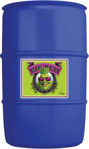 Big Bud