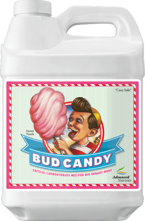 Bud Candy