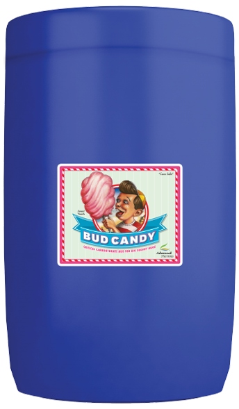 Bud Candy