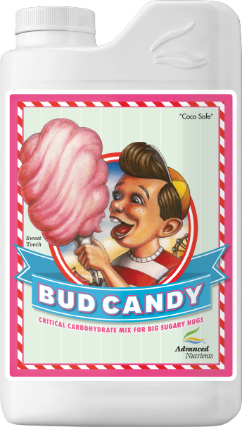 Bud Candy