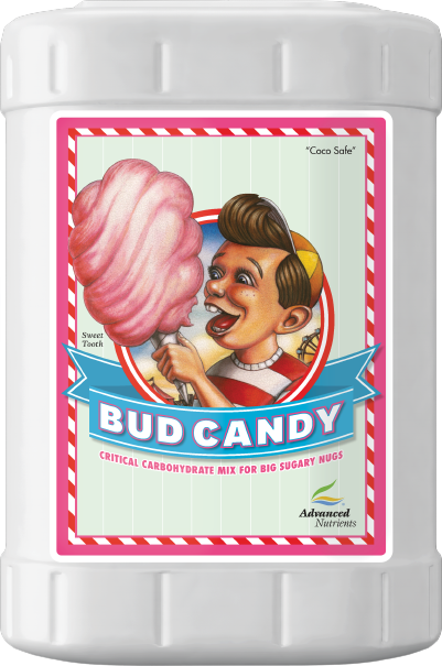 Bud Candy