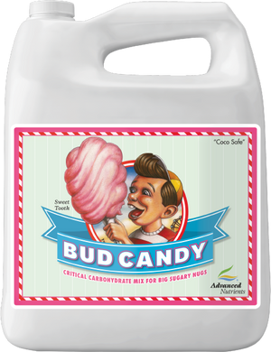 Bud Candy