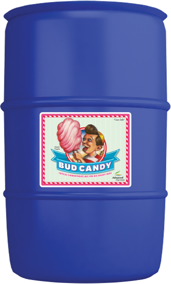 Bud Candy