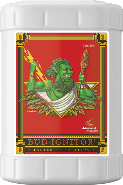 Bud Ignitor