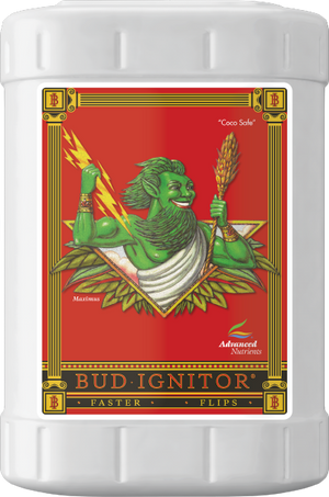 Bud Ignitor