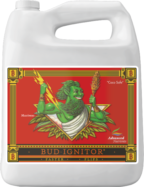 Bud Ignitor