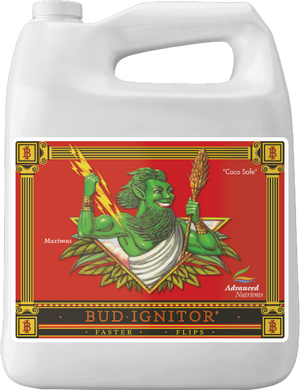 Bud Ignitor