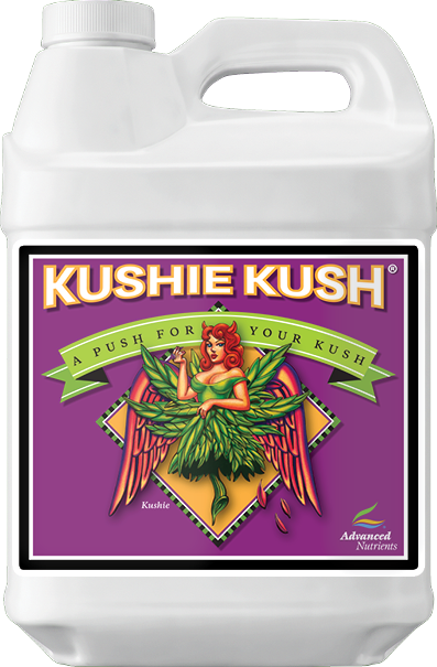 Kushie Kush