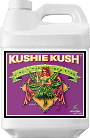Kushie Kush