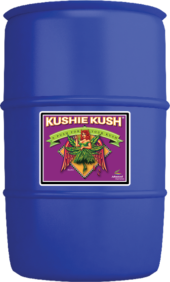 Kushie Kush