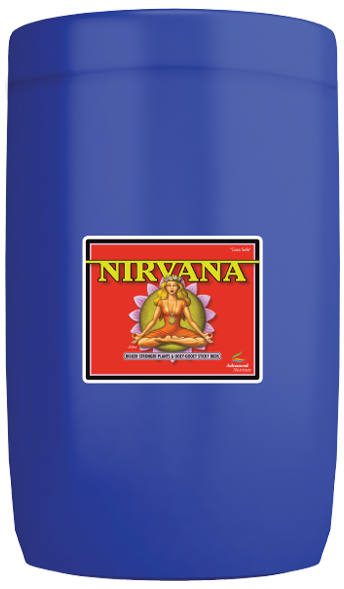 Nirvana