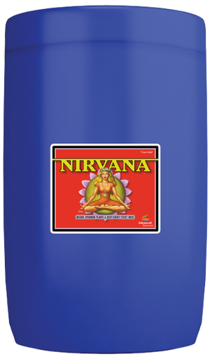 Nirvana