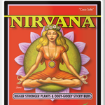 Nirvana