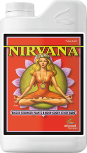 Nirvana