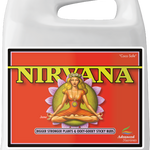 Nirvana