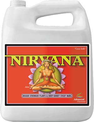 Nirvana