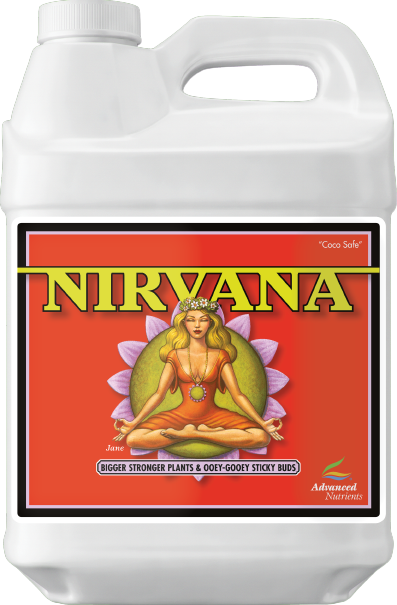 Nirvana