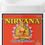 Nirvana