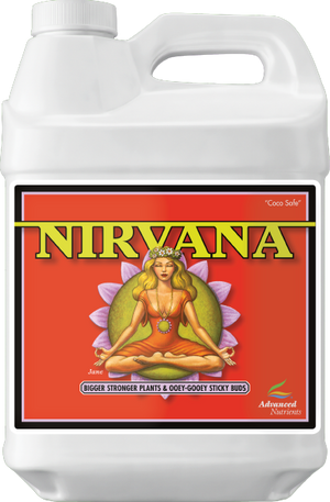 Nirvana