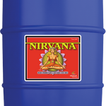 Nirvana