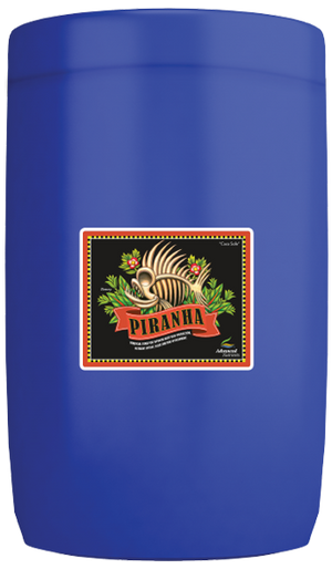 Piranha