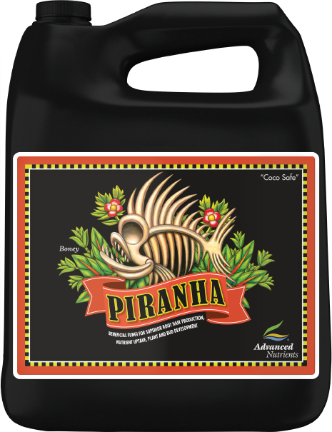 Piranha