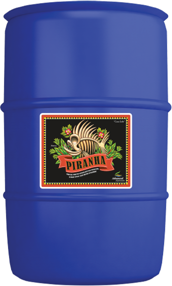 Piranha