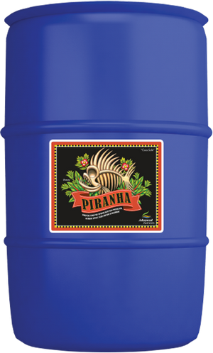 Piranha
