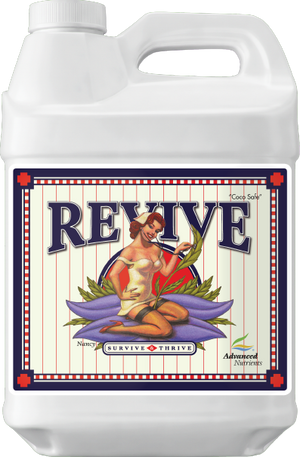 Revive