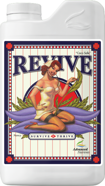 Revive